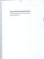 BÁO CÁO TÀI CHÍNH CONG TY TNHH THƯƠNG MẠI KĨ THƯƠNG