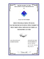 Phân tích hoạt động tín dụng tại chi nhánh ngân hàng nông nghiệp và phát triển nông thôn huyện thới lai   thành phố cần