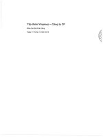 BÁO CÁO TÀI CHÍNH RIÊNG TẬP ĐOÀN VINGROUP
