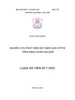 Nghiên cứu phát hiện đột biến gen ATP7B trên bệnh nhân Wilson (FULL TEXT)