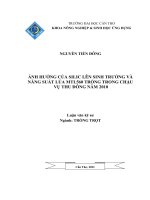 Ảnh hưởng của silic lên sinh trưởng và năng suất lúa MTL560 trồng trong chậu vụ thu đông năm 2010