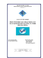 Phân tích hiệu quả hoạt động sản xuất kinh doanh tại công ty TNHH phương đông