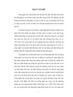 Nghiên cứu gây động dục đồng pha cho lợn nhận phôi