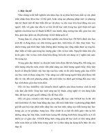 SKKN  một số kinh nghiệm về hướng dẫn học sinh nghiên cứu khoa học cấp THPT