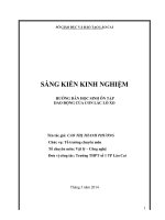 SKKN hướng dẫn học sinh ôn tập dao động của con lắc lò xo 