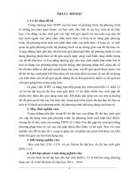 SKKN  ứng dụng phương pháp hàm số để giải một số lớp bài toán đại số 