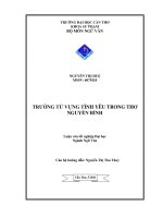 Trường từ vựng tình yêu trong thơ nguyễn bính