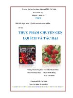 THỰC PHẨM CHUYỂN GEN LỢI ÍCH VÀ TÁC HẠI