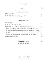 SKKN  hướng dẫn học sinh giỏi khai thác atlat khi học địa lí tự nhiên việt nam 