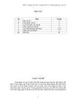 SKKN  đổi mới các hoạt động của đoàn thanh niên trong trường THPT 