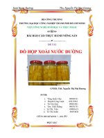 ĐỒ HỘP XOÀI NƯỚC ĐƯỜNG