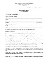 Đơn khởi kiện đòi nợ