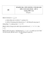 Đề kiểm tra 1 tiết môn Toán lớp 12 phần Giải tích chương 1 năm 20132014 trường THPT Y Jut