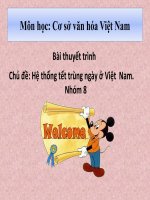 Cơ sở văn hóa Việt Nam - Hệ thống ngày Tết