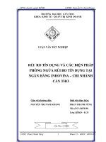 Rủi ro tín dụng và các biện pháp hạn chế rủi ro tín dụng tại ngân hàng INDOVINA – chi nhánh cần thơ