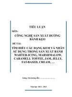 TÌM HIỂU CÁC DẠNG KEM VÀ NHÂN SỬ DỤNG TRONG SẢN XUẤT BÁNH WARTER-ICING, MARSHMALOW, CARAMELL TOFFEE, JAM, JELLY, FAT-BASED, CREAM