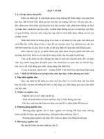 skkn Thiết kế đề kiểm tra tự luận môn sinh học lớp 12 theo khung ma trận