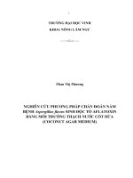Nghiên cứu phương pháp chuẩn đoán nấm bệnh aspergillus flavus sinh độc tố aflatoxin bằng môi trường thạch nước dừa  luận văn tốt nghiệp đại học