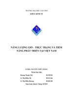 NĂNG LƯỢNG GIÓ – THỰC TRẠNG VÀ TIỀM NĂNG PHÁT TRIỂN TẠI VIỆT NAM