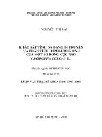 KHẢO SÁT TÍNH ĐA DẠNG DI TRUYỀN VÀ PHÂN TÍCH HÀM LƯỢNG DẦU CỦA MỘT SỐ DÒNG CỌC RÀO ( JATROPHA CURCAS L.)