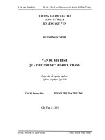 Vấn đề gia đình qua tiểu thuyết hồ biểu chánh