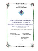 Thực trạng và giải pháp nâng cao hiệu quả hoạt động dịch và thẻ thanh toán tại vietcombank chi nhánh cần thơ