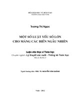 Một số luật yếu số lớn cho mảng các biến ngẫu nhiên  luận văn thạc sĩ toán học
