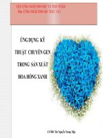 ỨNG DỤNG KỸ THUẬT CHUYỂN GEN TRONG SẢN XUẤT HOA HỒNG XANH
