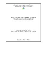 SKKN hướng dẫn học sinh lớp 10 tự tổ chức giờ hoạt động ngoài giờ lên lớp 