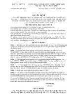 Mẫu Báo cáo tài chính