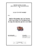 Phân  tích  hiệu quả sử dụng vốn tại công ty cổ phần đầu tư  địa ốc hoàng quân cần thơ