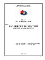 Các giải pháp truyền tải IP trong mạng quang  luận văn tốt nghiệp đại học