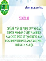 VẤN ĐỀ NHẬP CƯ VÀO CÁC THÀNH PHỐ LỚN GÂY RA VẤN ĐỀ GÌ ĐỐI VỚI PHÂN TẦNG VÀ SỰ PHÁT TRIỂN CỦA XÃ HỘI.