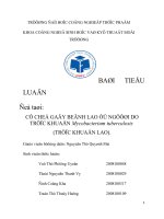 CƠ CHẾ GÂY BỆNH LAO Ở NGƯỜI DO TRỰC KHUẨN Mycobacterium tuberculosis