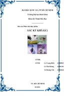 Báo cáo Phân tích thực phẩm SẮC KÝ KHÍ (GC)