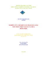 Nghiên cứu chế biến dưa hấu non nhân thịt sauce cà chua đóng hộp