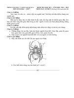 Đề thi học kì i môn sinh học 7 quận 6 thành phố hồ chí minh năm học 2014   2015(có đáp án)