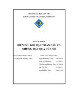 BIẾN ĐỔI KHÍ HẬU TOÀN CẦU VÀ NHỮNG HẬU QUẢ CỦA NÓ