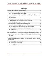 Hoạt động đầu tư gián tiếp nước ngoài tại việt nam