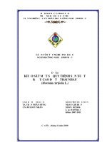 Khảo sát một số quy trình sản xuất rượu cao độ từ trái nhàu (morinda citrifolia l )