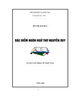 Đặc điểm ngôn ngữ thơ nguyễn duy