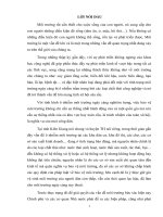 “Xử lý hành vi  gây ô nhiễm môi trường của nhà máy xay xát lúa A, xã TĐB, huyện TH,   tỉnh Kiên Giang”.