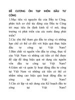 Đề cương ôn tập môn đầu tư công