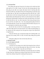 SKKN  sử dụng một số phương pháp và kỹ thuật dạy học tích cực ở trường THPT số III bảo yên 