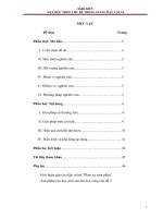 SKKN dạy học theo chủ đề trong giảng dạy vật lí