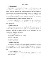 SKKN  một vài kinh nghiệm ôn tập tốt nghiệp hiệu quả môn ngữ văn 