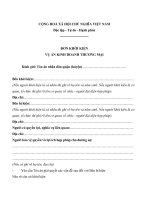 Đơn khởi kiện vụ án kinh doanh thương mại