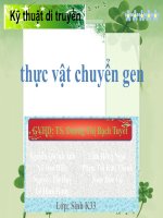 thực vật chuyển gen