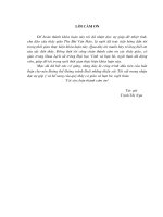 Xu hướng bạo động trong phong trào giải phóng dân tộc ở một số nước đông nam á (từ thế kỷ XIX đến đầu thế kỷ XX)