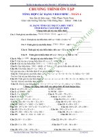 các dạng bài luyện violympic toán 4 